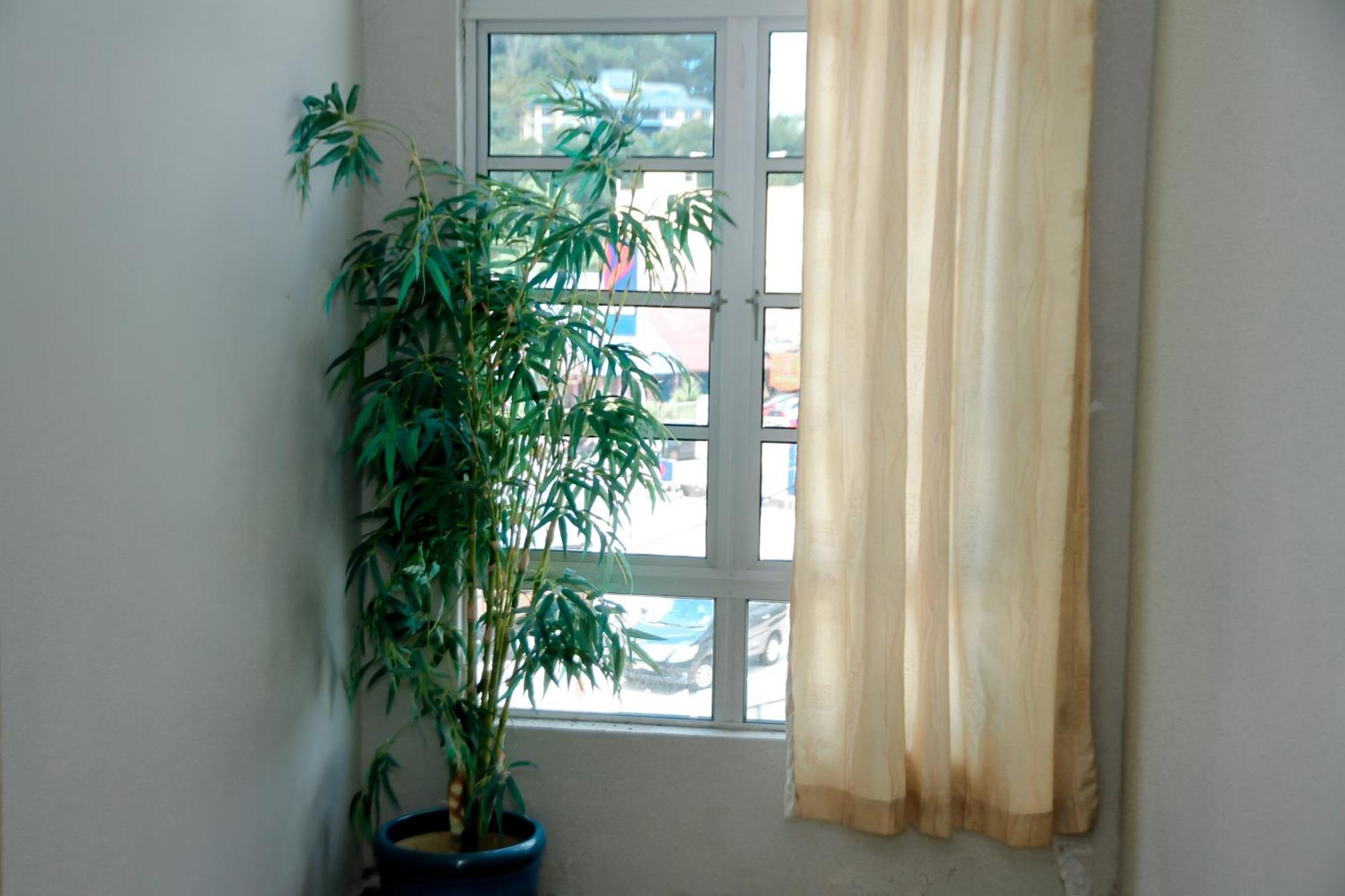 Hotel D View Mersing Exterior photo
